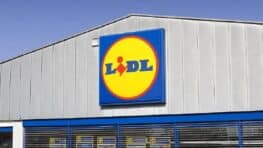 La liste complète des dupes de parfums de luxe chez Lidl à petits prix