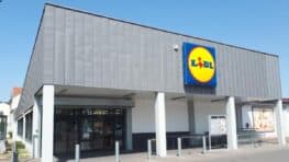Le nouveau parasol Lidl élégant, meilleur qu'un store et facile à monter