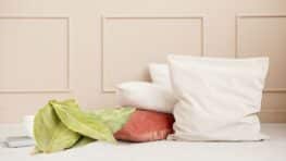 Les effets hallucinants de mettre des feuilles de laurier sous votre oreiller