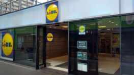 Lidl: dites adieu aux moustiques avec cette moustiquaire de fenêtre
