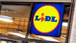 Lidl lance son four pour devenir un vrai pizzaiolo cet été