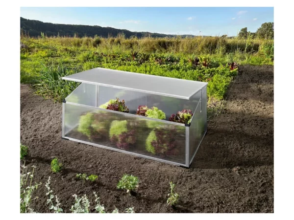 Mini-serre de jardin Parkside