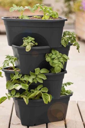 Lidl transforme votre extérieur avec cette jardinière en forme de tour-article