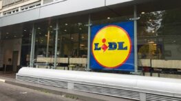 Ce parasol de Lidl très tendance enfin de retour en magasin