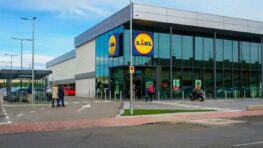 Ce produit LIDL à moins de 30 euros vous rafraîchira tout au long de l'été