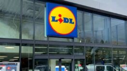 LIDL innove et lance le premier transat avec parasol intégré