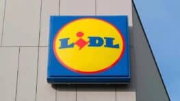 Ce nouvel aspirateur 2 en Lidl pour nettoyer le sol et le canapé