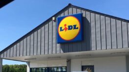 Le meilleur produit LIDL pour la santé pour les nutritionnistes