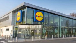 Lidl lance sa machine à glaçons à emporter partout