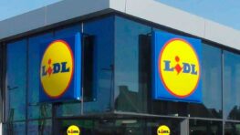 Lidl vous aide à réussir tous vos brushings