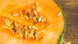 Les conseils d'un maraicher pour bien choisir son melon