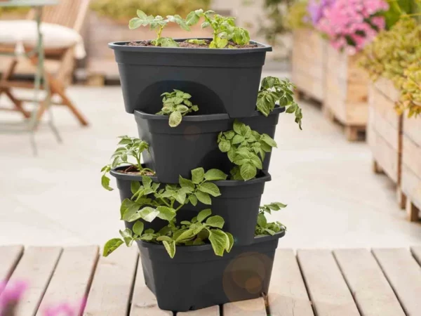 Tour de plantation Parkside