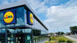 LIDL vient à bout de la cellulite avec cet appareil performant