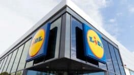 Ce meuble LIDL en 2 coloris, pliable et il ne prend pas de place