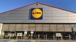 LIDL transforme totalement votre salon avec ce produit à moins de 7 euros