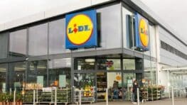 L'accessoire LIDL indispensable pour toujours avoir une maison propre