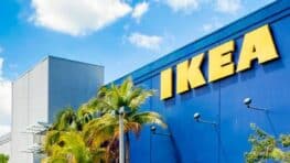 Cette sauce au saumon IKEA explose les records de ventes