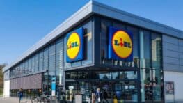 LIDL lance un sac à dos imperméable parfait les jours de pluie
