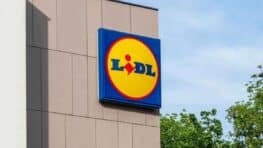 LIDL signe les étagères les plus solides à prix totalement fou