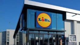 Le produit LIDL génial pour trier vos vêtements avant l'hiver