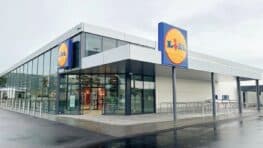 Le sapin de Noël c'est fini grâce à cette innovation LIDL à prix mini