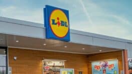 Ces appareils LIDL indispensables en cuisine valent désormais moins de 35 euros