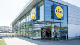 LIDL a la solution pour avoir une cheminée dans le salon pour se réchauffer sans gros travaux