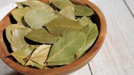 L'astuce des 3 feuilles de laurier pour résoudre ces 4 problèmes du quotidien