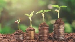 Voici pourquoi vous devez mettre une pièce de monnaie dans vos pots de fleurs