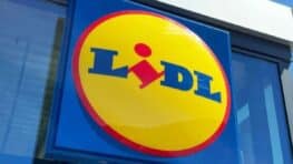 Ce meuble à chaussures LIDL super pratique explose les ventes