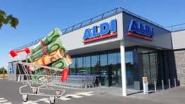 Cet appareil électroménager ALDI va vous faire économiser jusqu'à 500 euros de courses par an