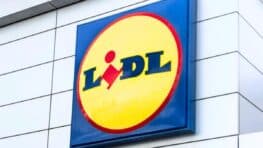 L'invention LIDL pour peindre n'importe quelle surface super rapidement