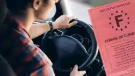 Permis de conduire: la date officielle pour changer le papier rose avant de prendre une amende
