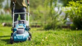 Ce produit LIDL star du jardin fait son retour pour le printemps à prix totalement fou