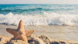 Cette île d'Europe aux plages paradisiaques et où il fait toujours beau au printemps