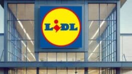 LIDL lance le produit pour la salle de bain qui va mettre KO Maisons du Monde