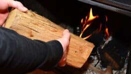 Voici le bois de chauffage le plus économique pour finir l'hiver