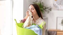 Ce duo magique avec du laurier et du citron va transformer votre intérieur