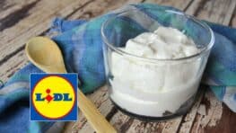 Ce fromage LIDL à moins de 2 euros a autant de protéines que le skyr