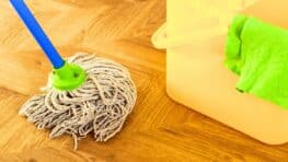 Cet ingrédient secret à mettre dans votre eau de nettoyage pour que votre sol reste propre plus longtemps