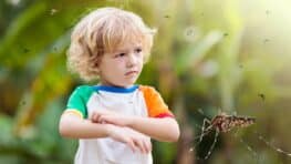 Cette plante à mettre dans son jardin est la solution anti-moustique la plus efficace