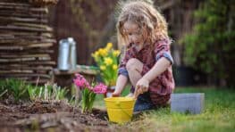Ne faites plus ça avec vos plantes au Printemps au moment de les arroser