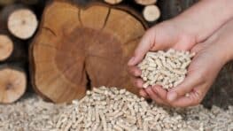 UFC Que Choisir a la solution pour payer vos pellets de bois beaucoup moins cher pour vous chauffer