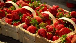 Ne mangez plus ces fraises vendues en supermarché, elles sont contaminées par des pesticides