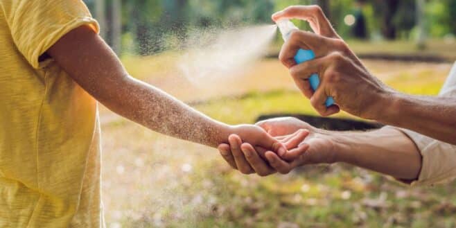 Ces 2 répulsifs naturels sont les plus efficaces contre les moustiques