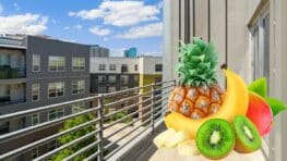 Ces 5 fruits à cultiver sur votre balcon facilement quand on n'a pas de jardin