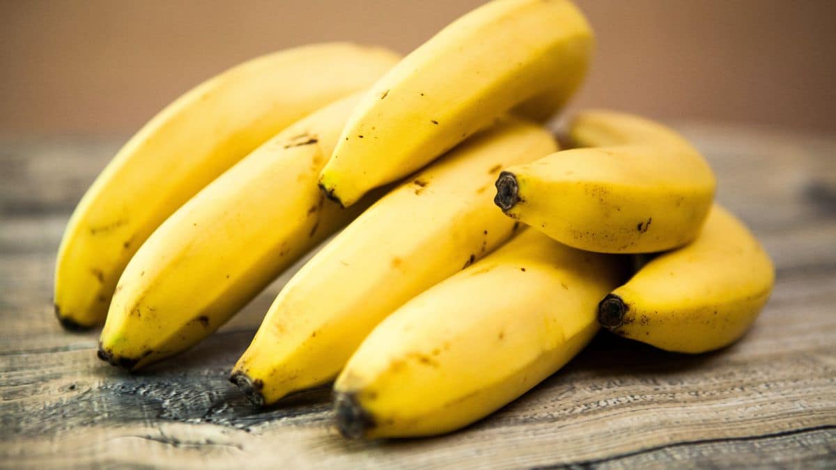 Scientists’ Tip: Store Yellow Bananas at Room Temperature