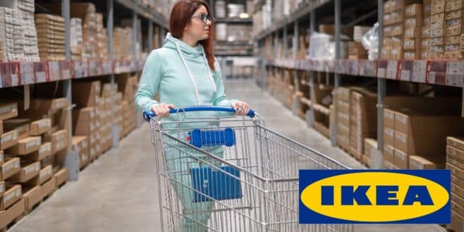 IKEA possède un rayon peu connu avec des articles à moins de 30 centimes