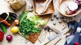 L'astuce pour vous débarrasser des moucherons pendant tout l'été