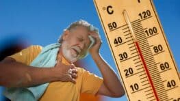 Canicule : attention à ces signaux qui annoncent peut-être une crise cardiaque
